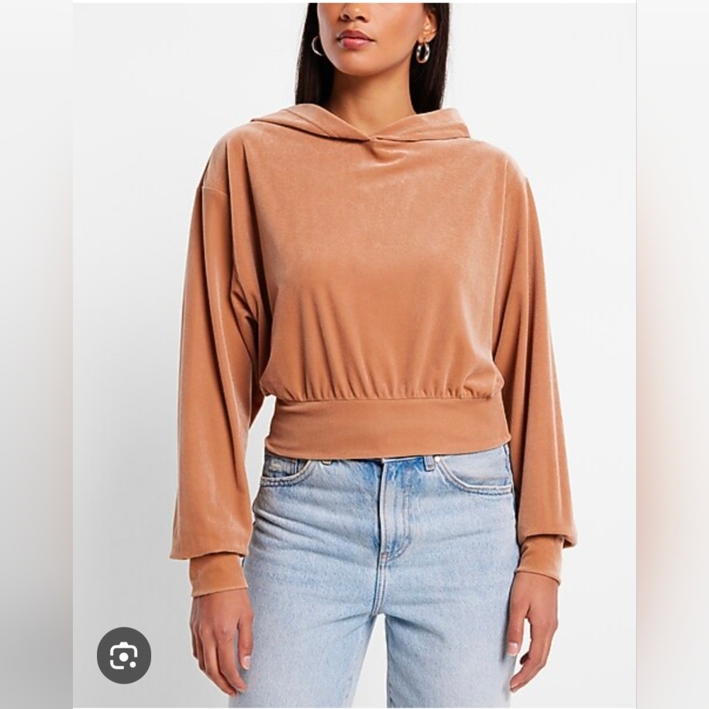 Express Velvet Hooded Sweater Beige Large